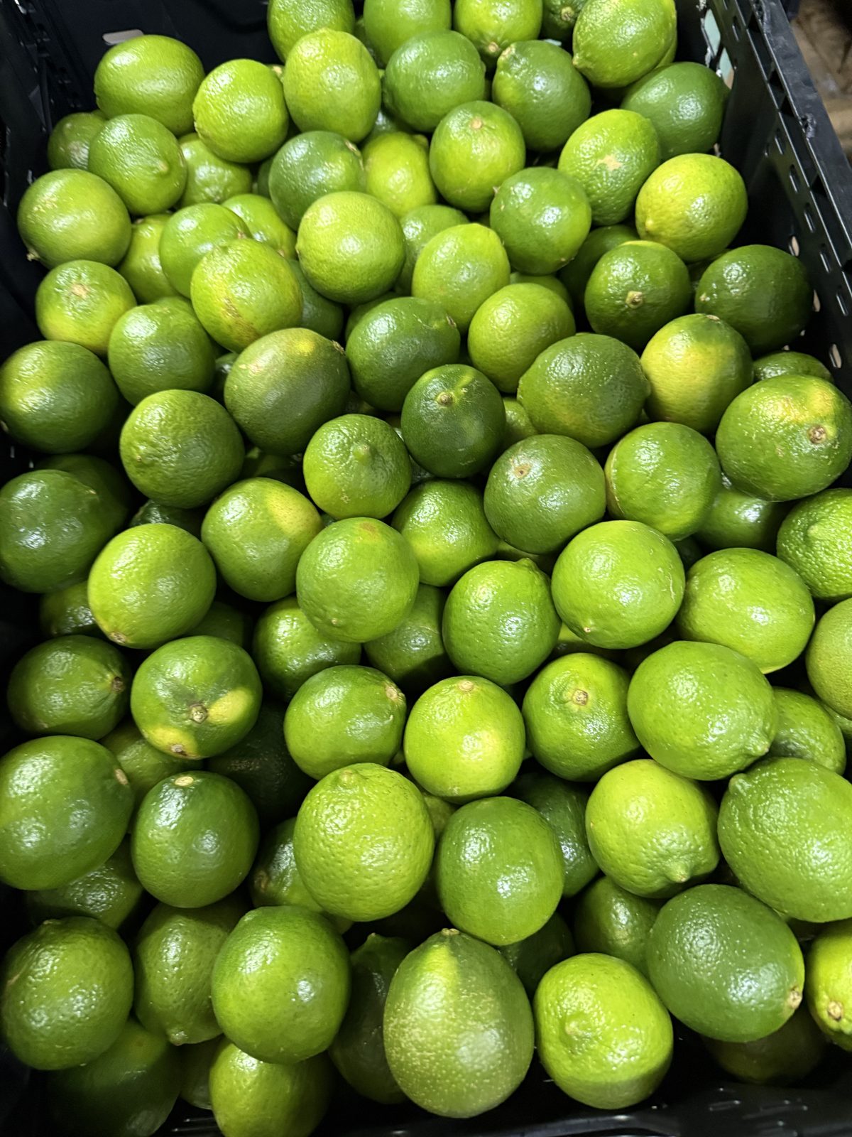MAK Limes